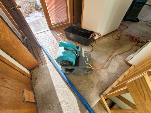 Best Water damage restoration near me  in Harrisburg, PA