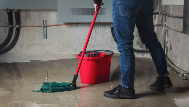 Best Flooded house restoration  in Harrisburg, PA